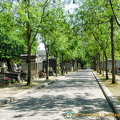 Tree-lined avenue of Père-Lachaise 